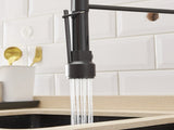 Commercial Kitchen Faucet with Pull Down Sprayer, Single Handle Single Lever Kitchen Sink Faucet W1932P172330