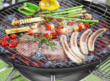 28-Inch Portable Charcoal Grill with Wheels and Storage Holder, Porcelain-Enameled Lid and Ash 40059147