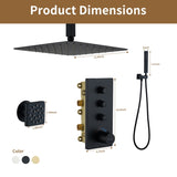 3 Functions 12 Inch Ceiling Mounted Thermostatic Shower System in Matte Black T3609P352710
