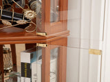 Corner Glass Cabinet Lighted Curio Cabinet Corner Display Case for Living Room, Curio Cabinet, W2275P296058