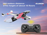 G3 RC Plane, 2.4Ghz Remote Control Airplane,Flying with 2 Batteries & Propeller 6-A,Logistics is 85613278