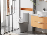 Matte Grey Elongated One Piece Toilet Dual Flush 1.1/1.6 GPF Water Saving Comfort Seat Height, Map W2826P192008