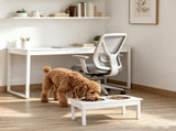 Elevated Dog Bowls 83494502