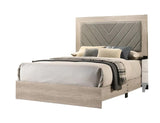 ZNTS Contemporary Cream Finish Queen Size Bed Bedroom Furniture Gray V-Design Headboard Rubberwood B011P236815