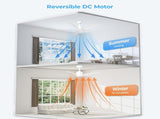 44 inch Ceiling Fans with Lights, Large Air Volume Ceiling Fans with Reversible Quiet DC Motor and 02967257