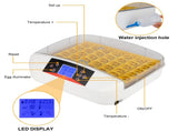 42-Egg Practical Fully Automatic Poultry Incubator with Egg Candler US Standard 08717076