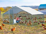 6.5 x 10 ft Large Metal Chicken Coop, Walk-in Poultry Cage Chicken Hen Run House with Waterproof 36307173