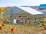 6.5 x 10 ft Large Metal Chicken Coop, Walk-in Poultry Cage Chicken Hen Run House with Waterproof 08931110