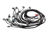 OBD2 D&B-series Tucked Engine Wire Harness Fit For 1992-2000 Honda Civic B16 B18 D16 11775816