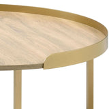 Mithea Oak & Gold Finish Coffee Table B2726P281463