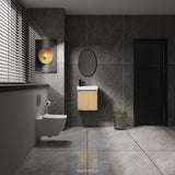 20" Wall-Mounted Bathroom Vanity with Ceramic Sink, Storage Cabinet with Doors,Bathroom Cabinet Set W1972P196394