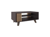 Coffee Table, 1 Door, 2 Shelves, Black Wengue / Natural Oak B097P369429