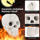 Halloween Decoration Beige 91381057