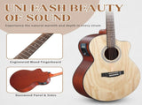 KMA201 41-inch Willow panel guitar with matte binding, comes with a 15W amplifier, bag, tuner, 55125216
