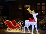 5ft Lighted Christmas Reindeer & Sleigh Outdoor Yard Decoration Set with LED Lights, Red & White 85467541