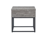 Celestial Contemporary Storage End table, Gray T2574P163351