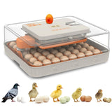 56 Egg Incubator with Automatic Turning & Humidity Control Digital Poultry Hatcher for Chicken, 94302757