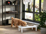 Elevated Dog Bowls 83494502