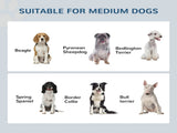 Elevated Dog Bowl 67522260