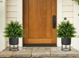 2-Pack 21.5" Artificial Topiary Ball Tree - Realistic Cedar Balls, PE/PVC Material, Green 71031638