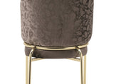 Onyx Modern Style 2PC Chairs made with Velvet fabric and Gold coated metal Legs -Dark Gray B009P332651