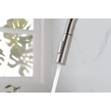 Kitchen Faucet with Pull Down Sprayer W2287141938