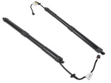 Set of 2 Rear Left and Right Tailgate Lift Support Fit for Kia Sedona Van 3.3L V6 2015-2021 Black 74844591