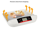 42-Egg Practical Fully Automatic Poultry Incubator with Egg Candler US Standard 08717076