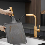 Kitchen Sink, Nickel Gold Kitchens with Pull out Sprayer, Bar Single Hole W1932P218070