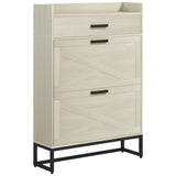 Shoe Storage Cabinet 18964478