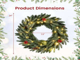 24" Pre-Lit Christmas Wreath - 20 Warm White LEDsPine ConesRed Berries 83366207