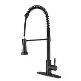 Kitchen Faucet with Pull Out Spraye TH4003MB02