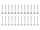 Intake & Exhaust Valves Replacement for Jeep Grand Cherokee Ram 1500 3.0L V6 EcoDiesel 2014-2018 64982778