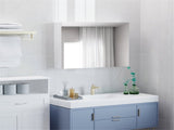 Wall Mounted Bathroom Mirror 04143679