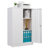 Metal Storage Cabinet with Locking Doors and Adjustable Shelf, Filing Storage Cabinet , 66558843