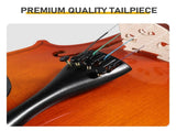Brand new 4/4 natural tiger-striped acoustic violin set includes pitch stickers, tuner, strings, 00914911