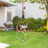Dog Agility Training Equipment 70892126