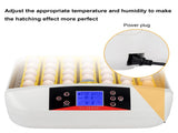 42-Egg Practical Fully Automatic Poultry Incubator with Egg Candler US Standard 08717076