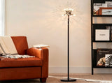 Dandelion Floor Lamp, Matte Black & Chrome Finish Metal Body with Glass Shade, Modern Standing Lamp W6558P574566