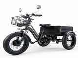 Electric Tricycle for Adults, Peak 1200W Step-Thru Etrike with 48V 13Ah Removable Battery,20"4.0" T6689P601001