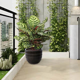Handmade Dark Coffee Ceramic Planter Set of 4 , Indoor/Outdoor Flower Pot for W3273P321575