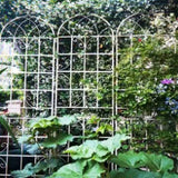 2 Pack Metal Garden Trellis 86.7" x 19.7" Rustproof Trellis for Climbing Plants Outdoor Flower W1586104502