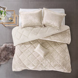 Twin/Twin XL Velvet Comforter Set with Throw Pillow B035P203251