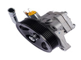 Power Steering Pump with Pulley Fits for Kia Sedona 2006-2010 Hyundai Entourage 2007-2009 V6 3.8L 23685482