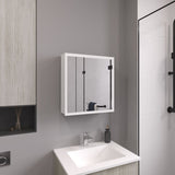 Duma 21.1" H x 19.7" W Mirror Medicine Cabinet, One door with Four interior Shelves for Bathroom, B200P240246