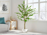 76" Artificial Enkianthus Tree with Black Plastic Pot N772P286779G