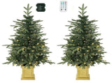 4ft Christmas Tree Set of 2 Aspen Fir Dual Color LED Remote Battery Operated 11 Modes 26539305