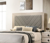 Contemporary Cream Finish Queen Size Bed Bedroom Furniture Gray V-Design Headboard Rubberwood B011P236815