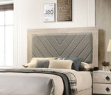 ZNTS Contemporary Cream Finish Queen Size Bed Bedroom Furniture Gray V-Design Headboard Rubberwood B011P236815