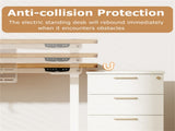 Walnuttop White Frame 55" Electric Standing with Dual Motors, 3 Memory Settings Sit-Stand 12608046